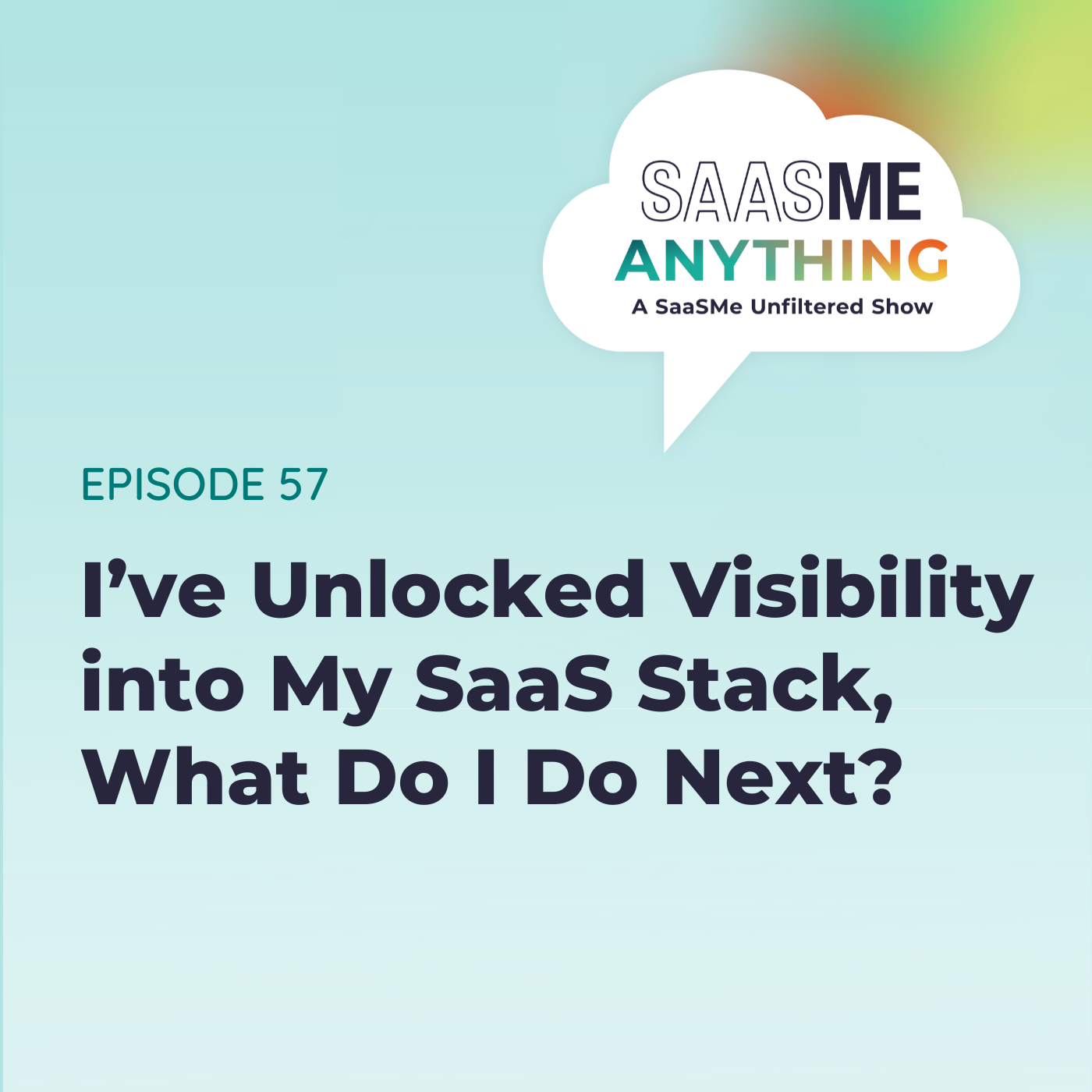 I’ve Unlocked Visibility into My SaaS Stack, What Do I Do Next?