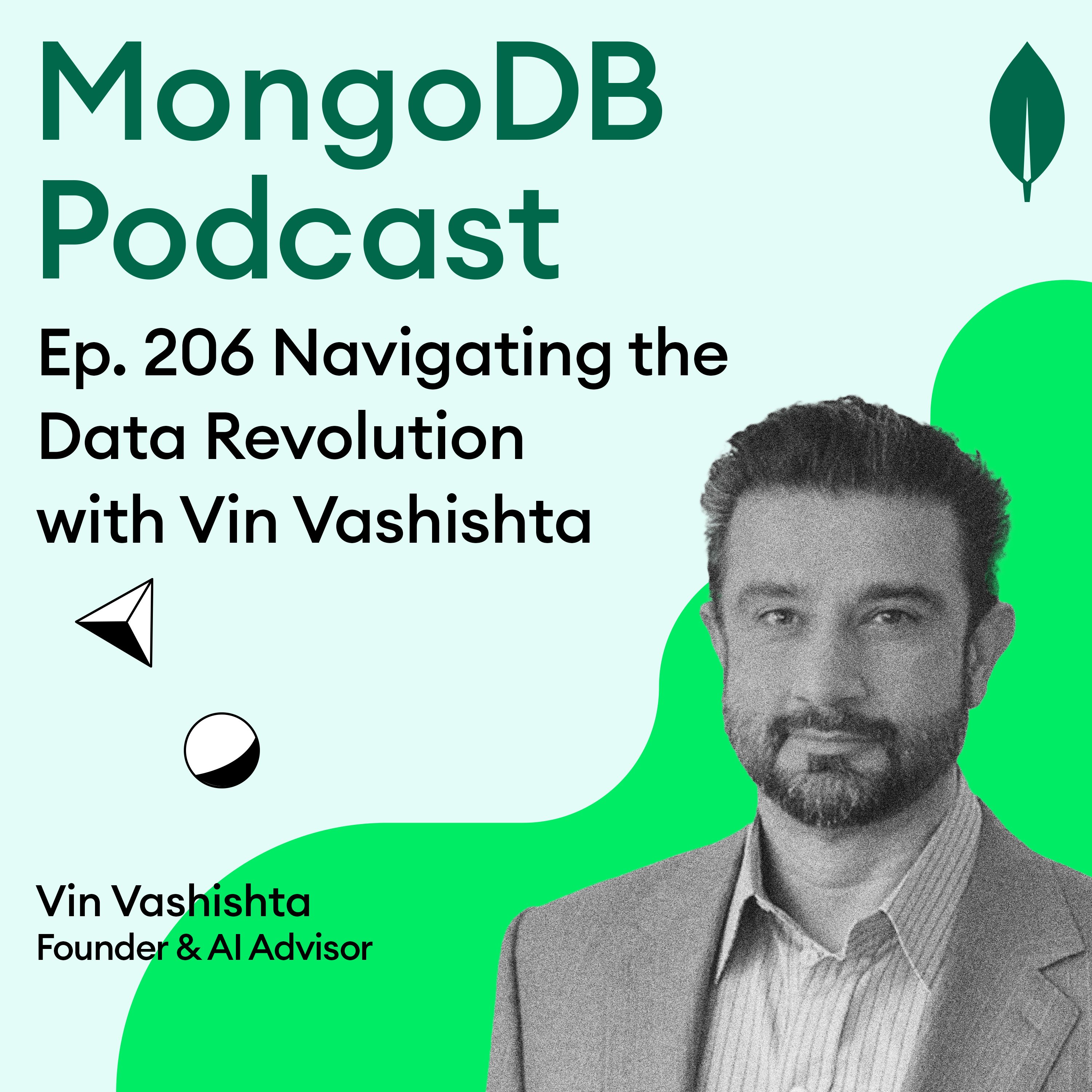 Ep. 206 Navigating the Data Revolution: A Conversation with Vin Vashishta
