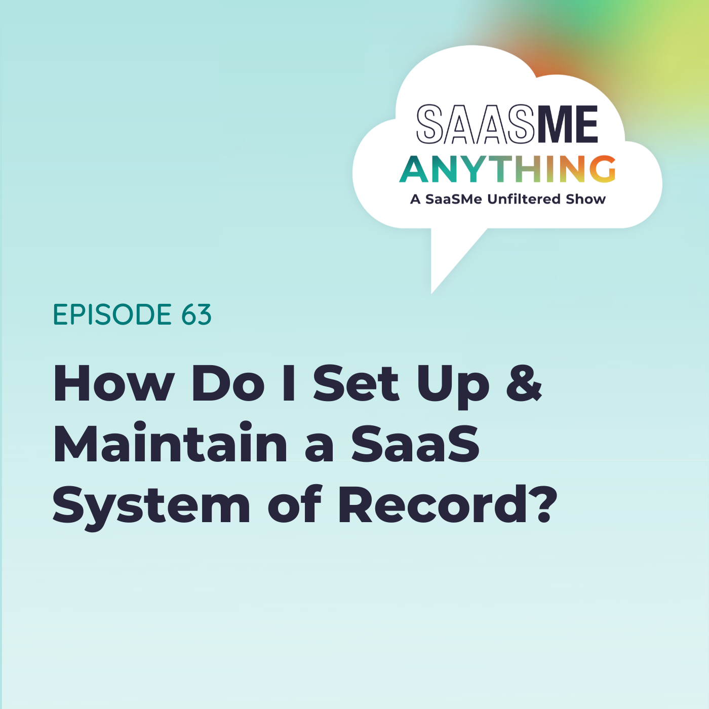 How Do I Set Up & Maintain A SaaS System of Record?
