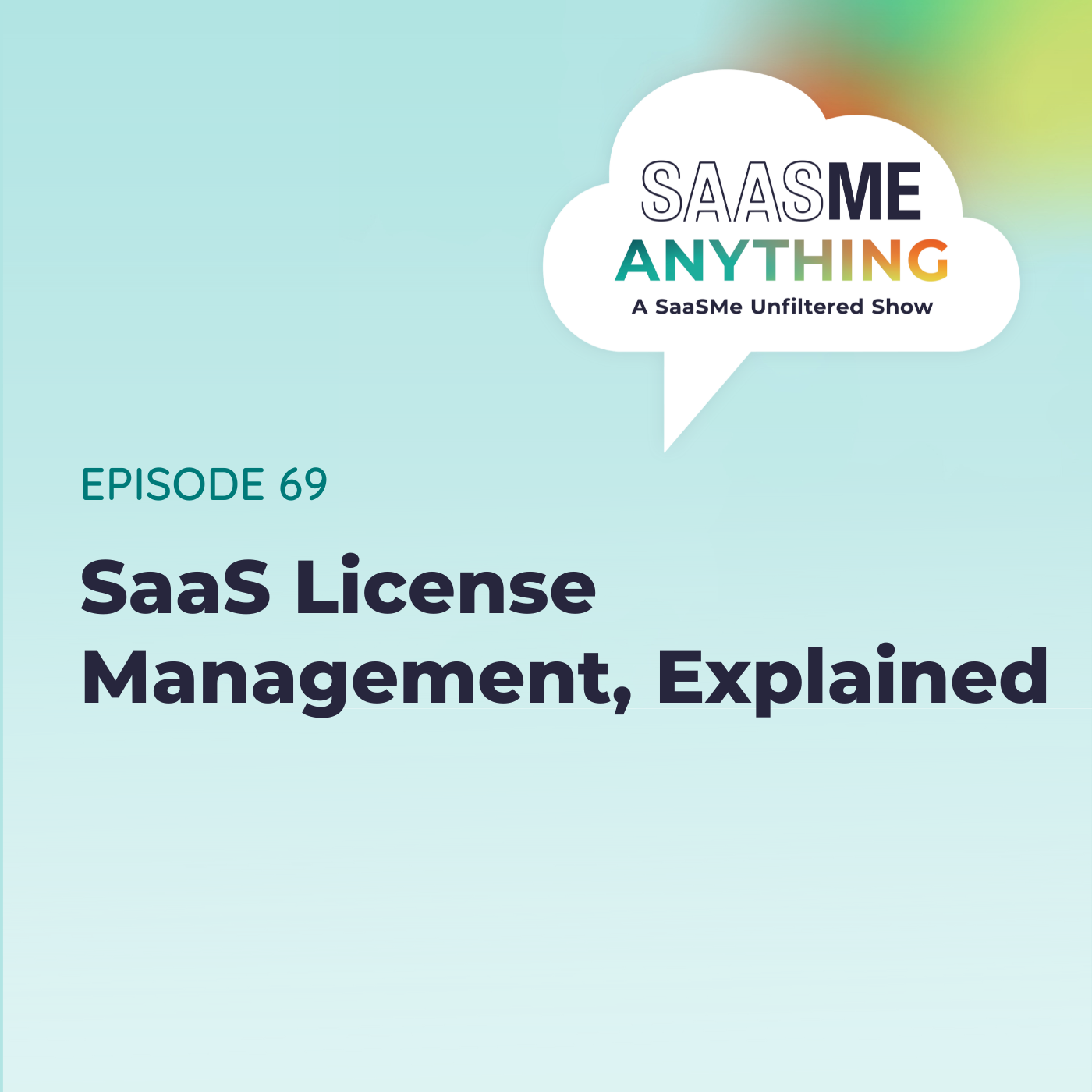 SaaS License Management, Explained