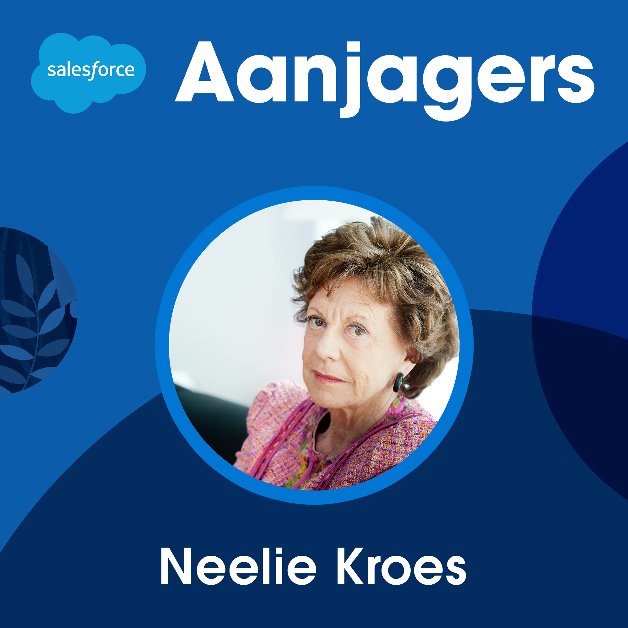 Neelie Kroes: Pak geboden kansen
