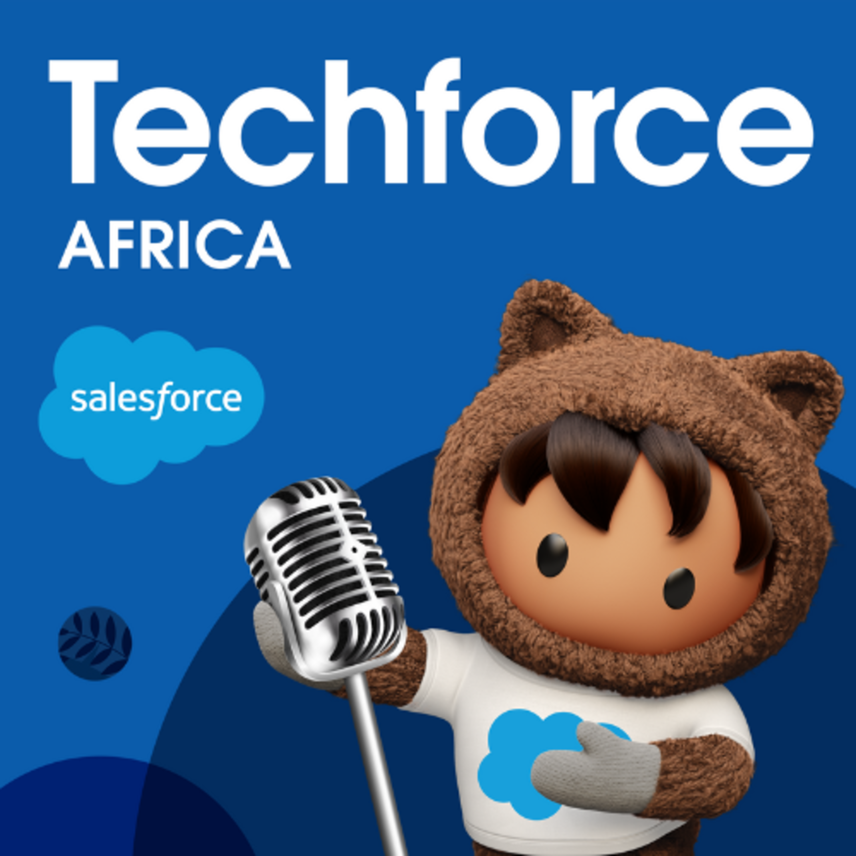 Techforce in Africa