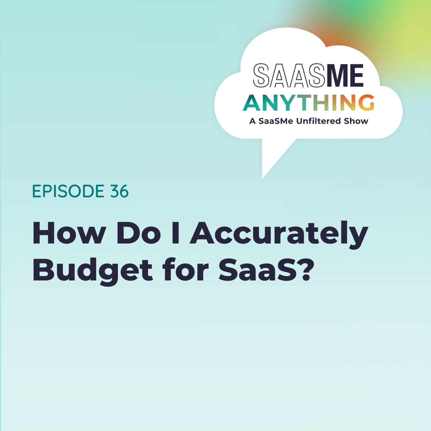 How Do I Accurately Budget for SaaS?