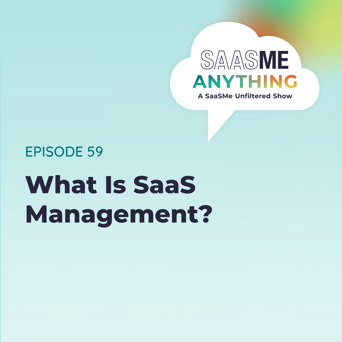What Is SaaS Management?