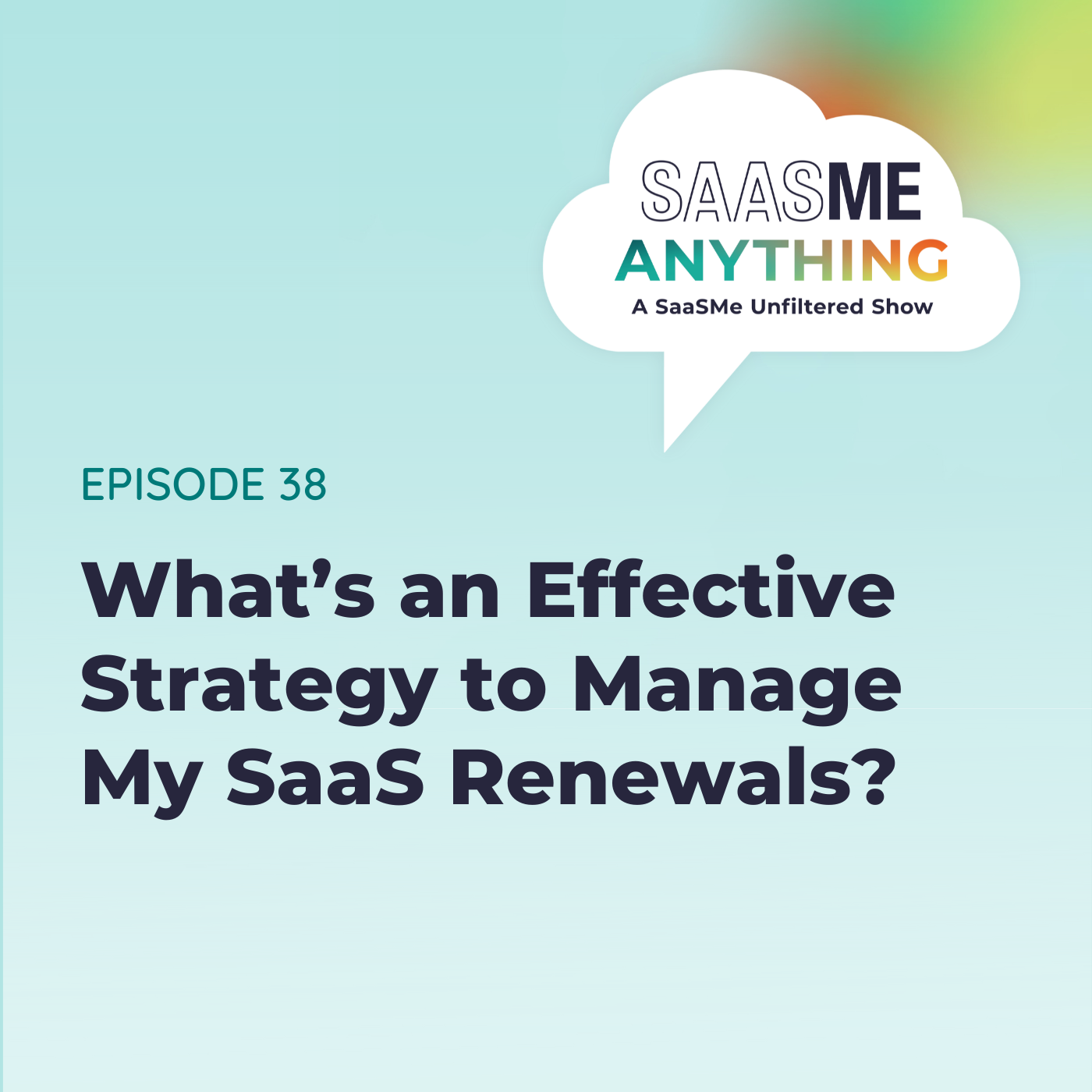 What’s an Effective Strategy to Manage My SaaS Renewals?