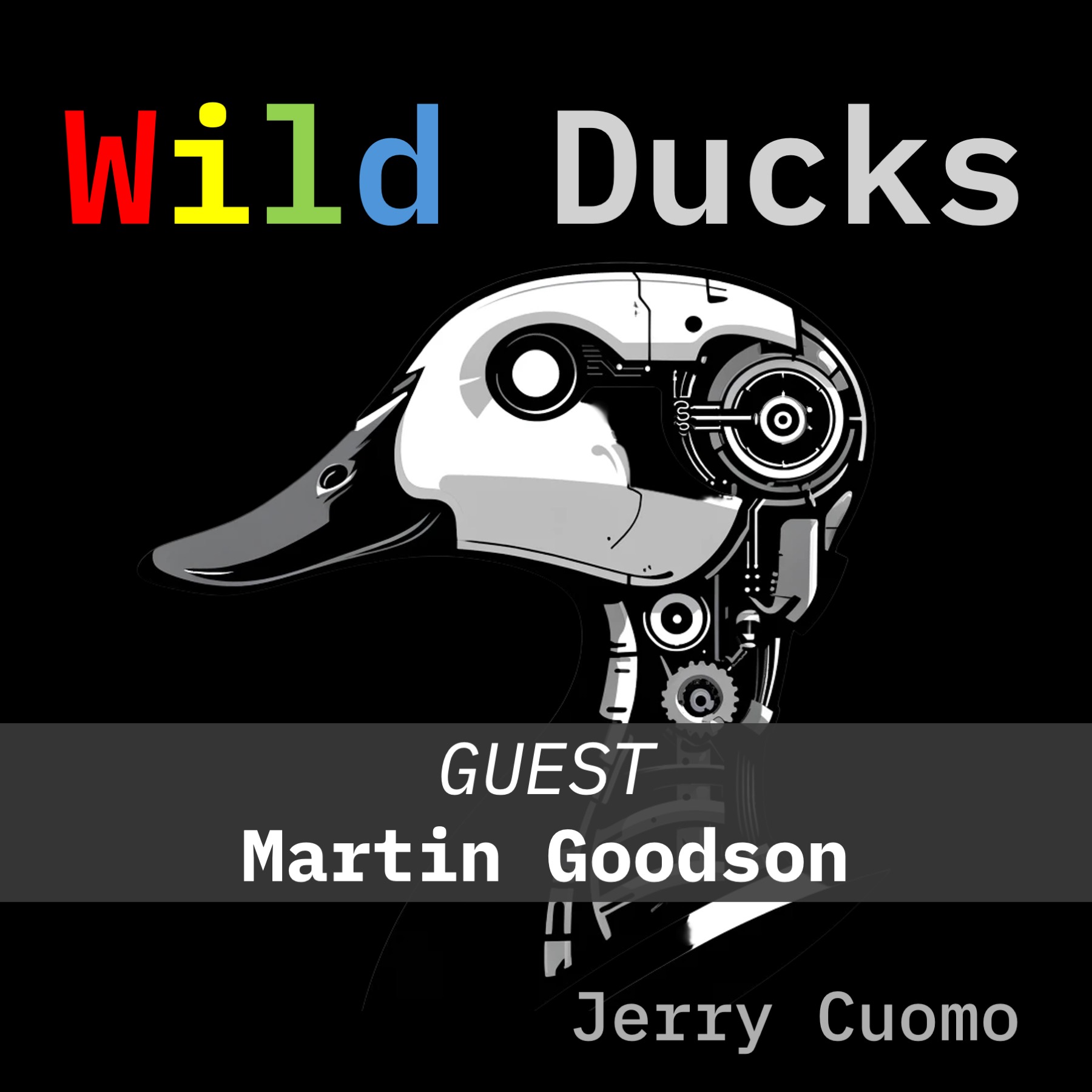 Wild Ducks