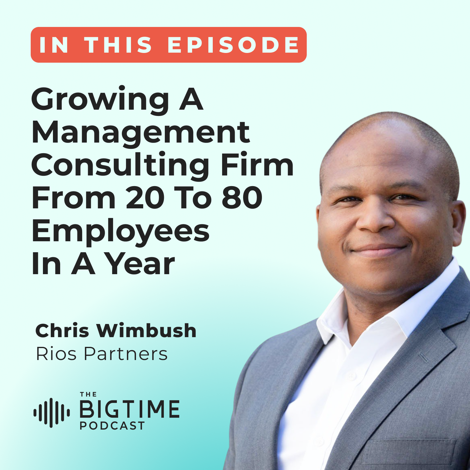 Growing a Management Consulting Firm from 20 to 80 Employees in a Year