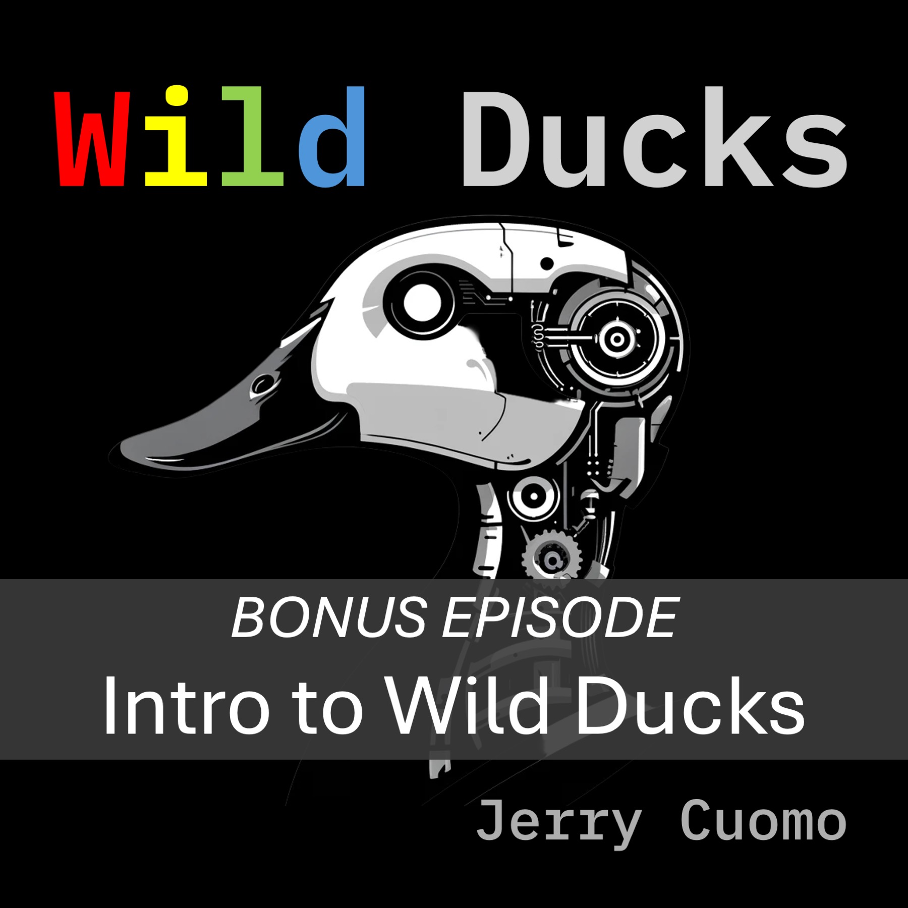 Welcome to Wild Ducks Podcast