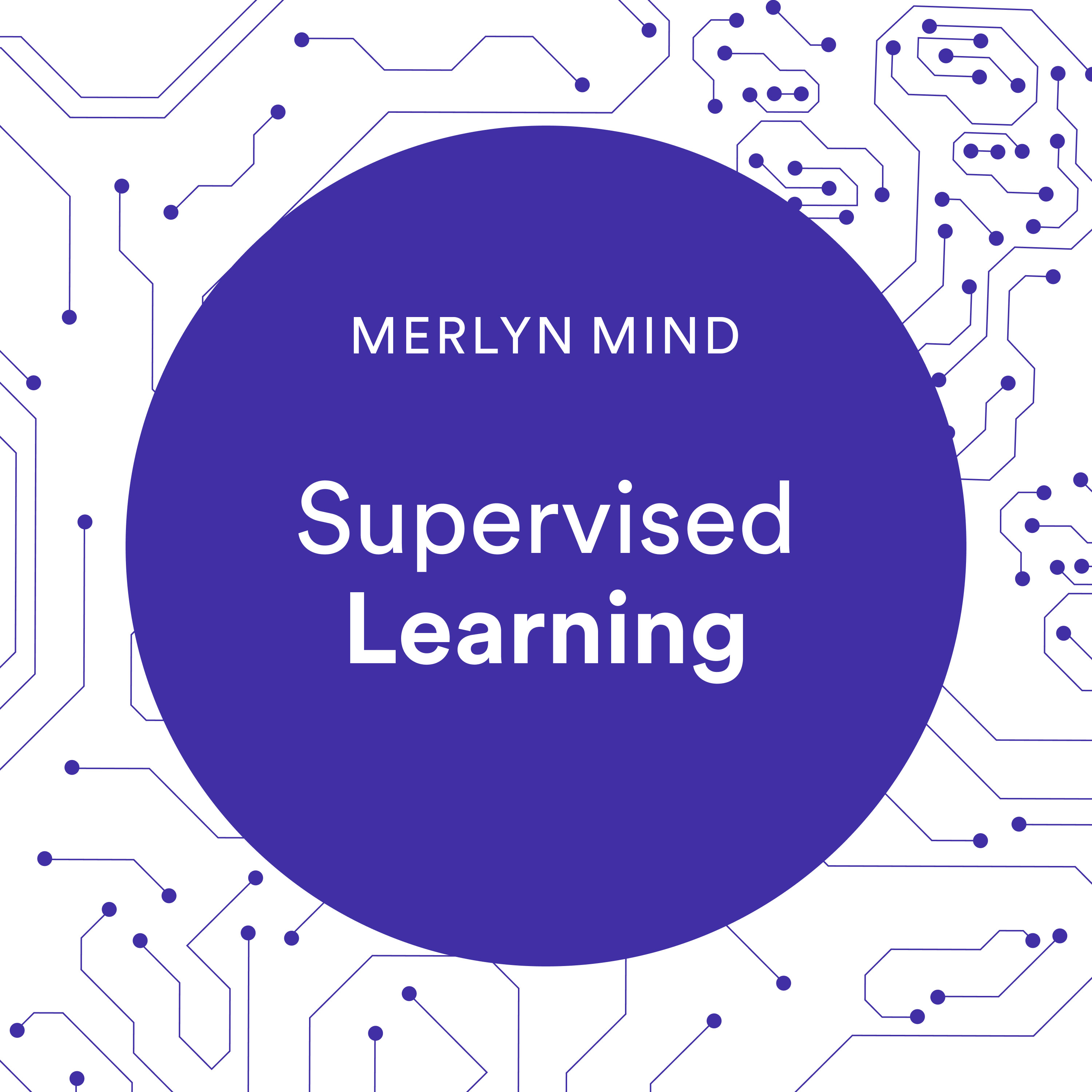 Merlyn Mind C Learning